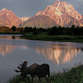 Morning Tranquility